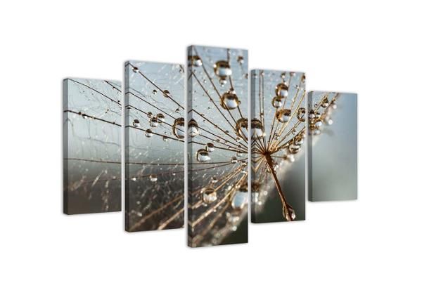 Картина из 5-частей Dew Drops and Cobweb 100x70 см