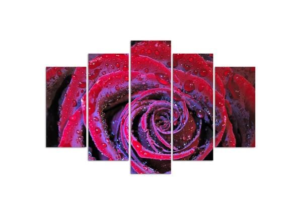 Картина из 5-частей Dew rose 100x70 см