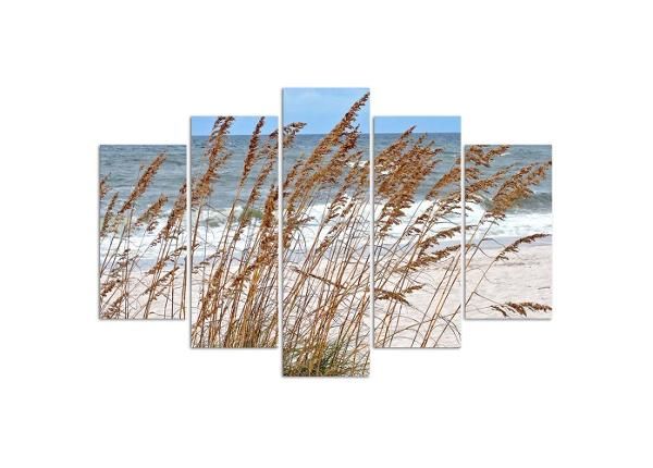 Картина из 5-частей Reeds by the Sea 150x100 см