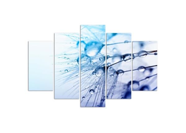 Картина из 5-частей Water Drops and Dandelion 100x70 см