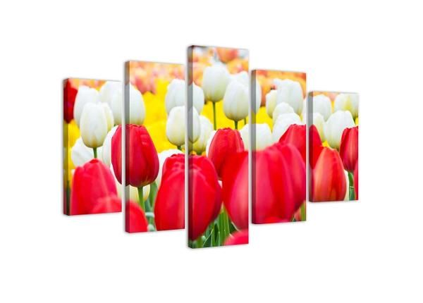 Картина из 5-частей White and Red Tulips 100x70 см