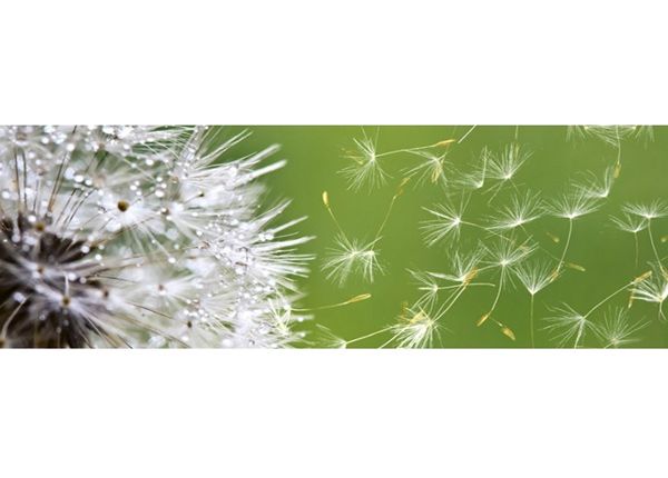 Кухонный фартук Dandelion 180x60 см