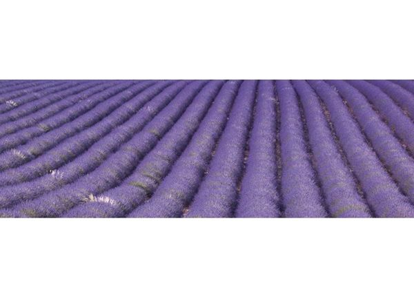 Кухонный фартук Lavender field 180x60 см