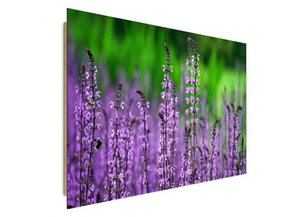 Настенная картина Blooming lavender 70x100 см