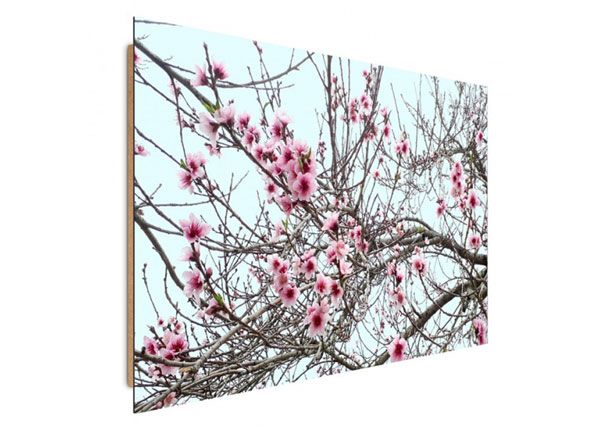 Настенная картина Flowering trees 30x40 см