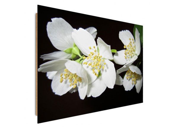 Настенная картина Flowering trees 80x120 см