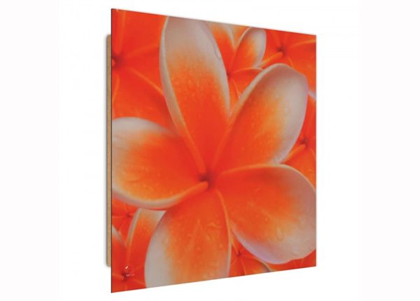 Настенная картина Frangipani flower 1 3D 30x30 см
