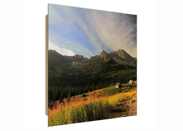 Настенная картина Mountain landscape 3D 30x30 см