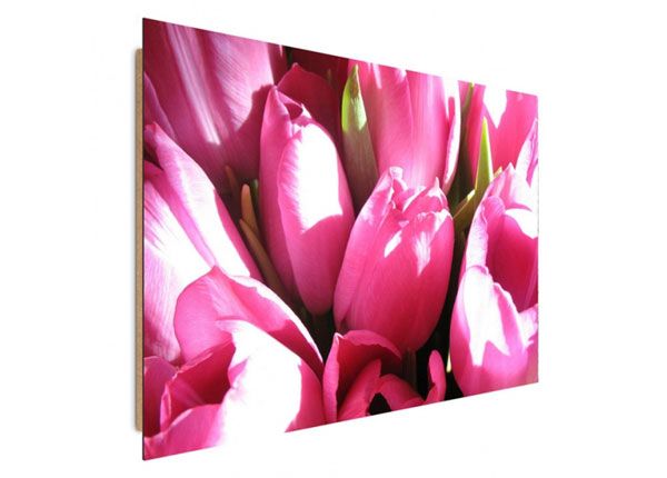 Настенная картина Pink tulips 70x100 см