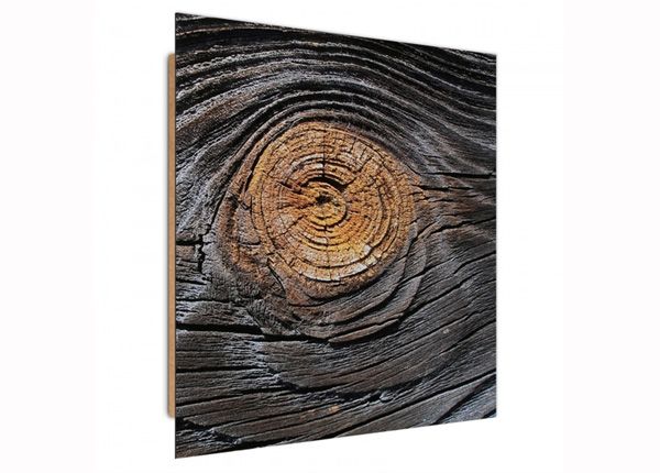 Настенная картина Tree bark 3D 30x30 см