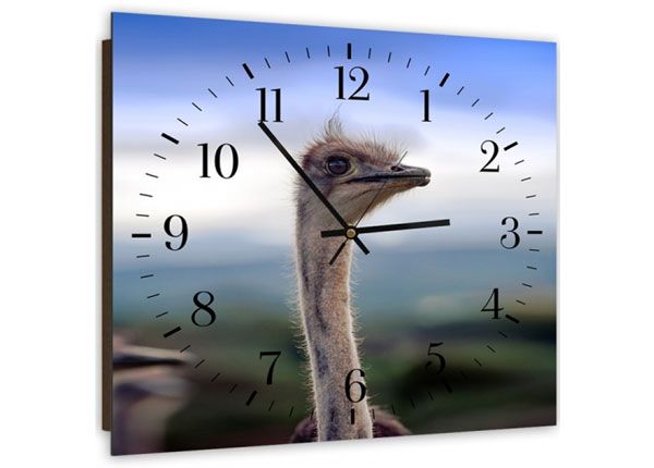 Настенные часы с картиной Ostrich