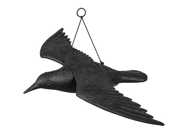 Фигура птицы Летающий ворон, для сада