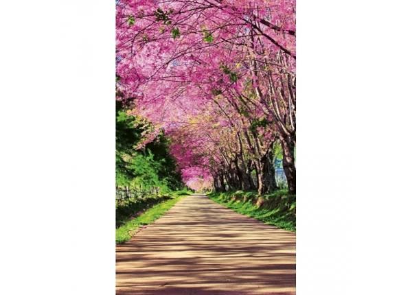 Флизелиновые фотообои Blossom alley 150x250 см