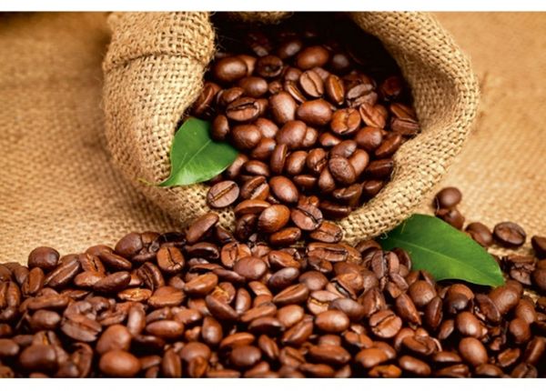 Флизелиновые фотообои Coffee beans 150x250 см