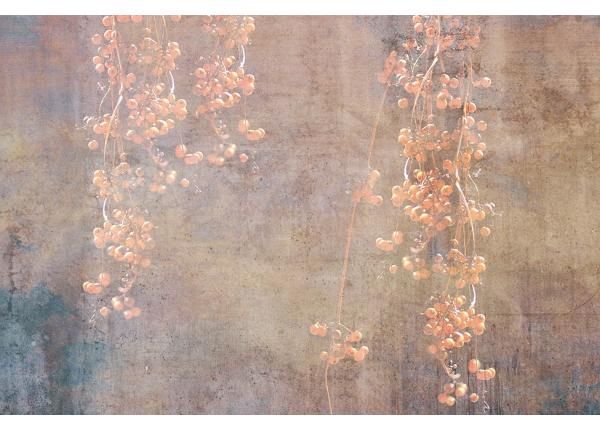Флизелиновые фотообои Currant Abstract 150x250 см