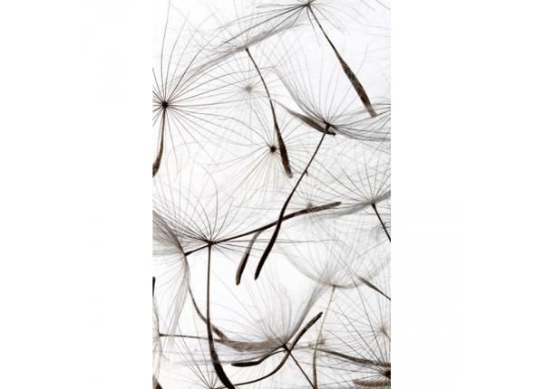Флизелиновые фотообои Dandelion seeds 150x250 см