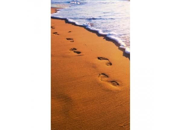 Флизелиновые фотообои Footsteps 150x250 см