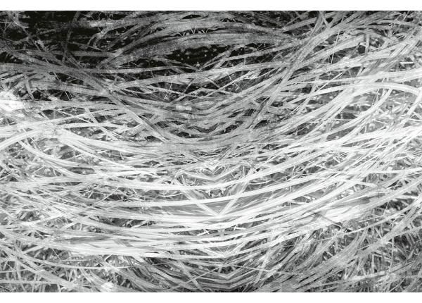 Флизелиновые фотообои Hay Abstract II 150x250 см