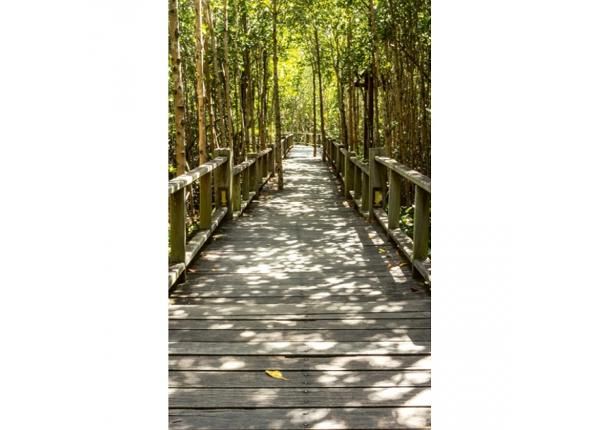 Флизелиновые фотообои Mangrove forest 150x250 см