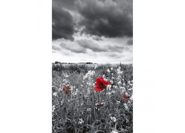 Флизелиновые фотообои Poppies black 150x250 см