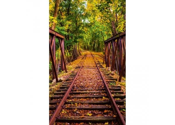 Флизелиновые фотообои Railroad 150x250 см