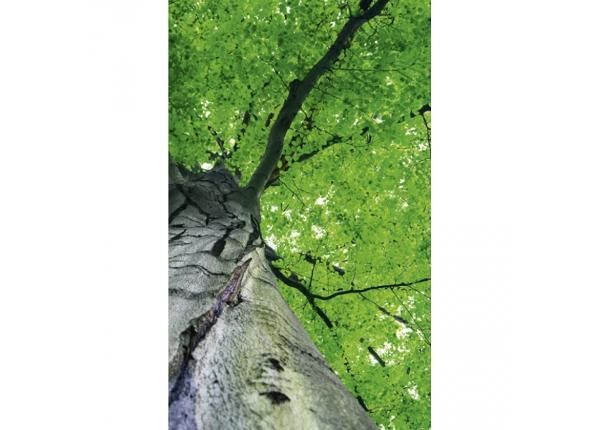 Флизелиновые фотообои Treetop 150x250 см