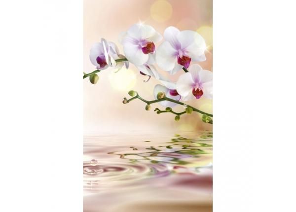 Флизелиновые фотообои White orchid 150x250 см