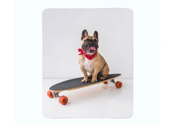 Флисовый плед French Bulldog on Skateboard 130x150 см
