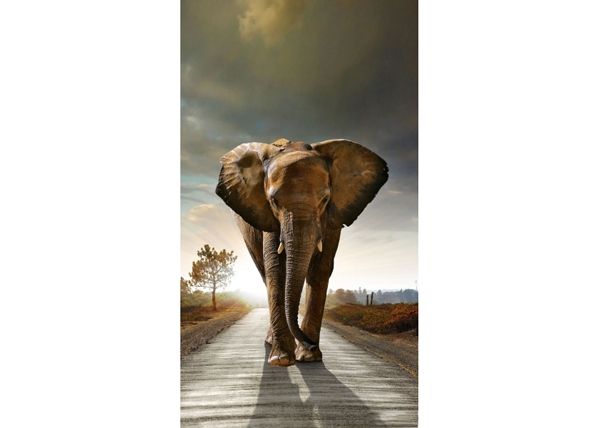 Затемняющая фотоштора Elephant I, 140x245 см