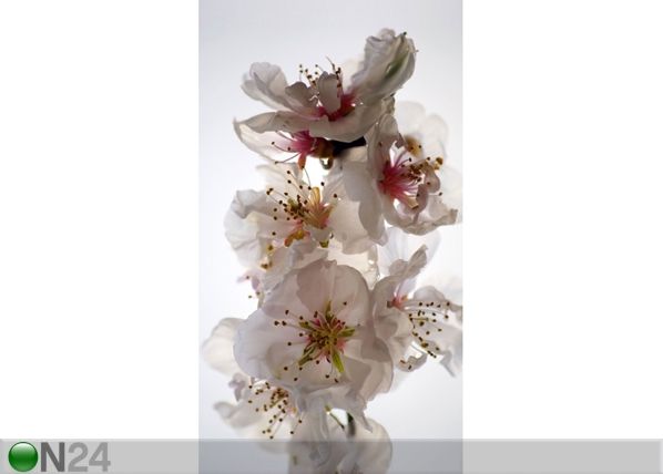 Затемняющая фотоштора Flowers I, 140x245 см