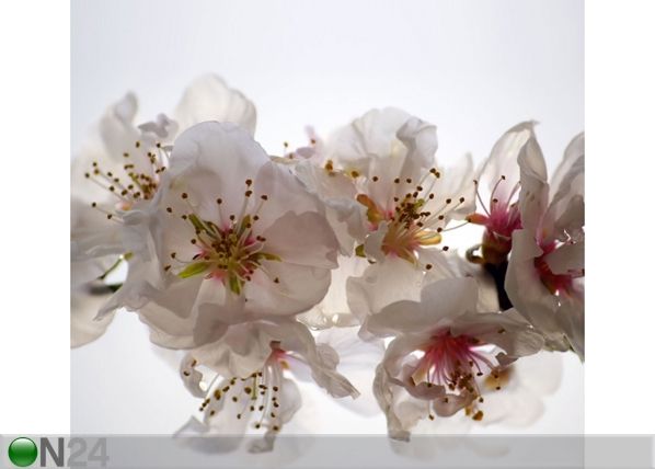 Затемняющее фотошторы Flowers 280x245 см