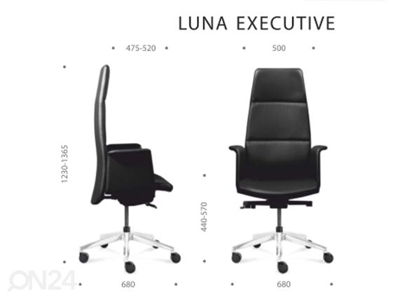 Рабочий стул Luna Executive