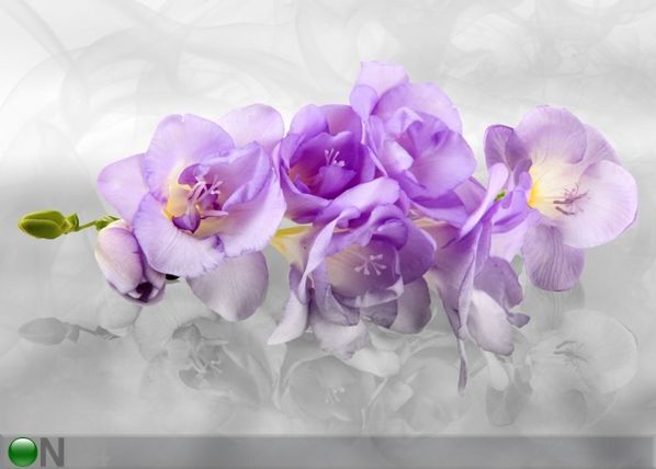 Флизелиновые фотообои 3D orchid 360x270 см