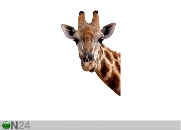 Флизелиновые фотообои Giraffe 90x202 см