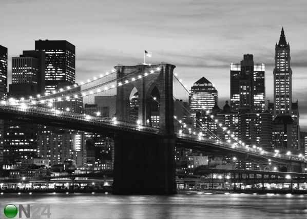 Фотообои Brooklyn Bridge black and white 360x254 см