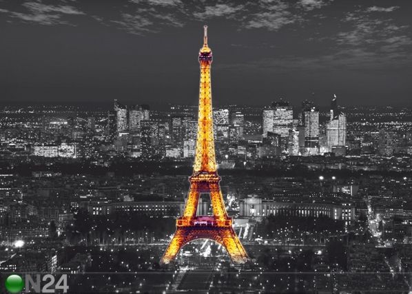 Фотообои Eiffel Tower at night 360x254 см