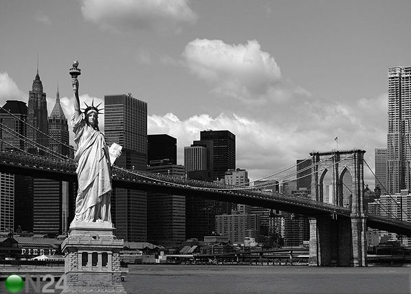 Фотообои Statue of Liberty 360x254 см
