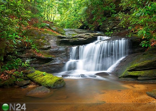 Фотообои Waterfall 360x254 см