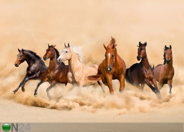 Затемняющее фотошторы Herd of horses 280x245 см