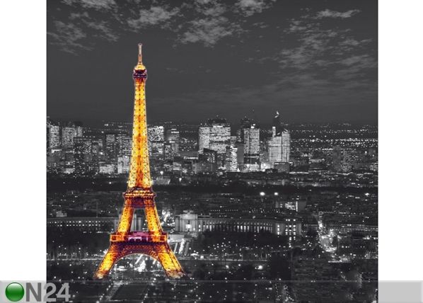 Затемняющее фотошторы Paris by night 280x245 см