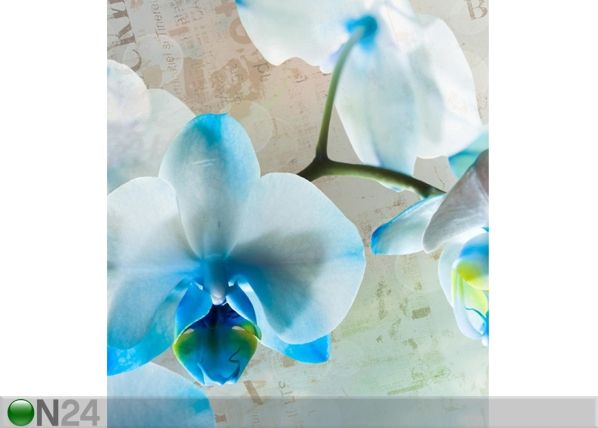 Флизелиновые фотообои Blue flowers 180x202 cm