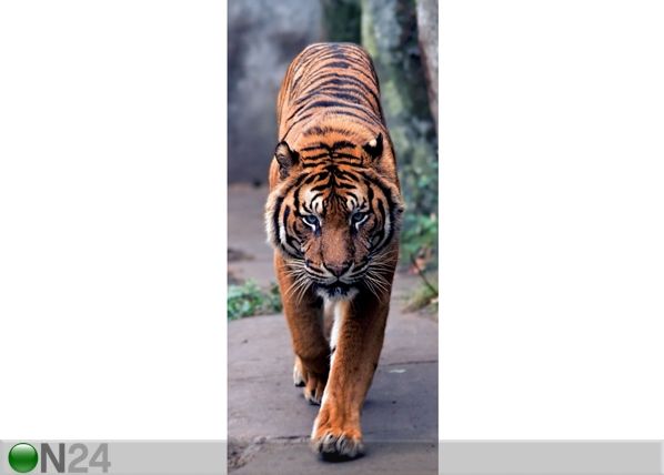 Флизелиновые фотообои Tiger 90x202 см