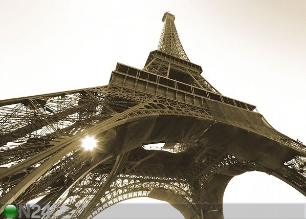 Фотообои Eiffel Tower black and white 360x254 см