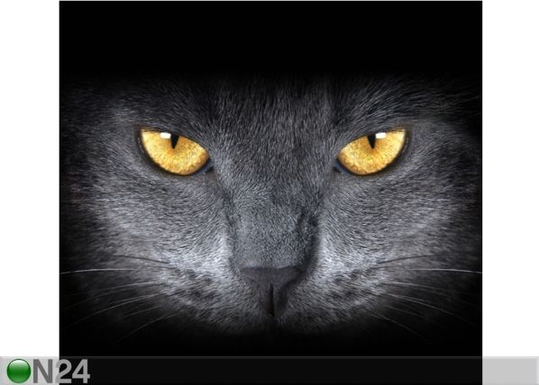 Фотошторы Black Cat, 280x245 см