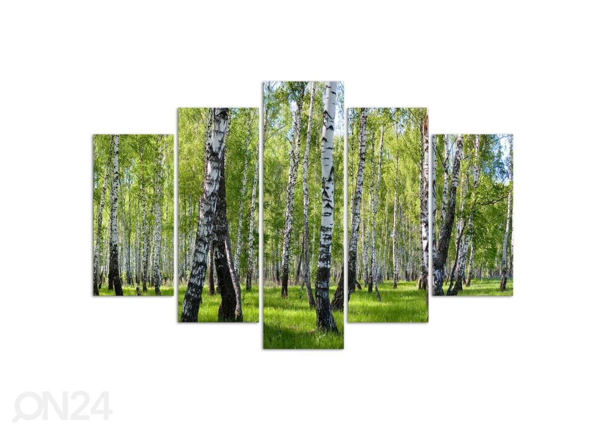 Картина из 5-частей Birch trees 100x70 см увеличить