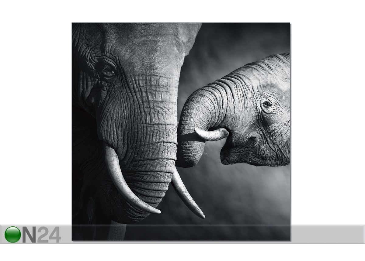 Картина Elephants 120x120 cm увеличить