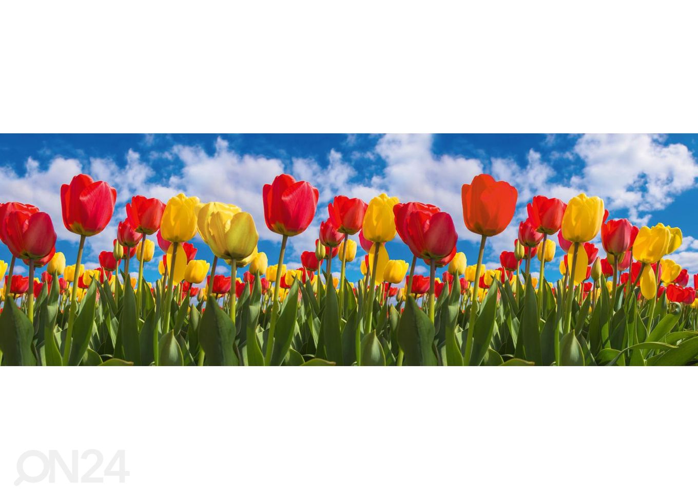 Кухонный фартук Spring tulip field 180x60 см увеличить