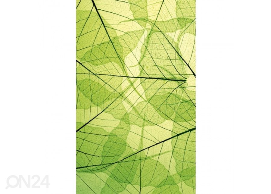 Флизелиновые фотообои Leaf veins 150x250 см увеличить