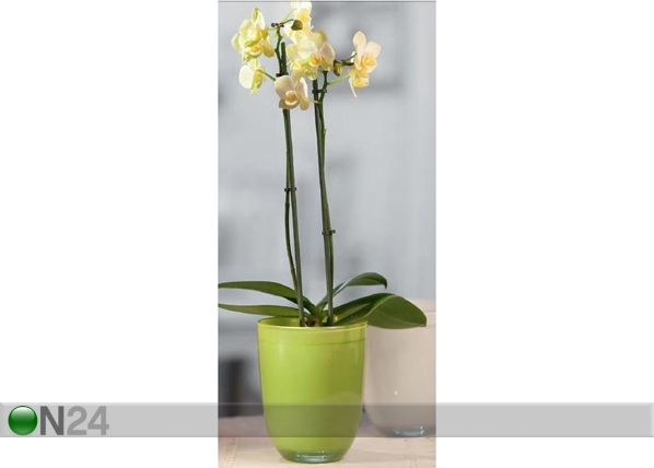 Горшок для орхидеи Diana
