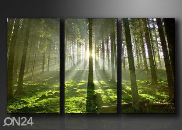 Картина из 3-частей Девственный лес
